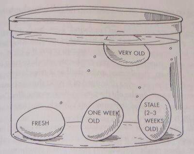 egg float test